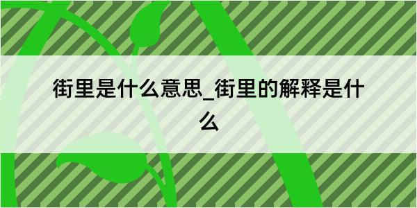 街里是什么意思_街里的解释是什么