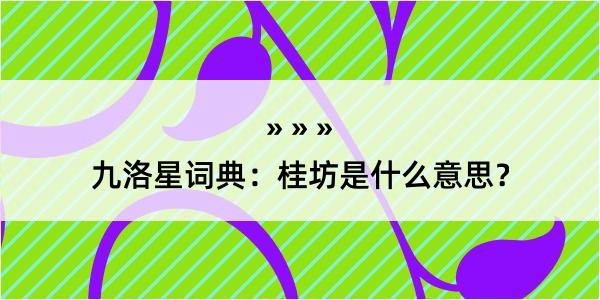 九洛星词典：桂坊是什么意思？