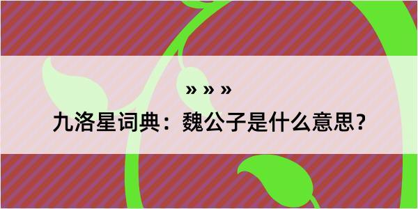 九洛星词典：魏公子是什么意思？