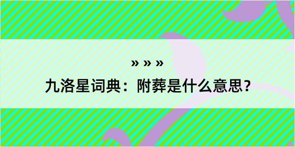 九洛星词典：附葬是什么意思？