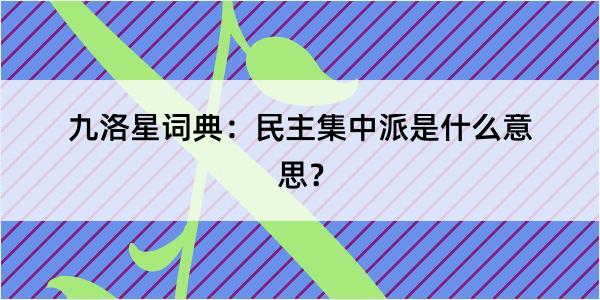 九洛星词典：民主集中派是什么意思？