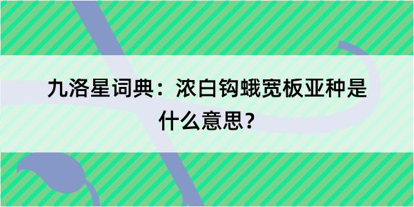 九洛星词典：浓白钩蛾宽板亚种是什么意思？