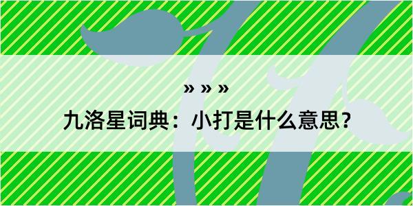 九洛星词典：小打是什么意思？