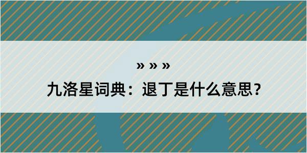 九洛星词典：退丁是什么意思？