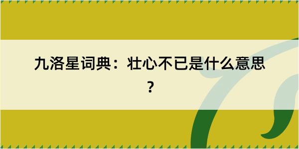 九洛星词典：壮心不已是什么意思？