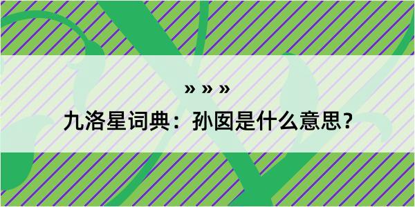 九洛星词典：孙囡是什么意思？