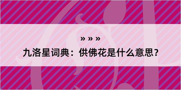 九洛星词典：供佛花是什么意思？