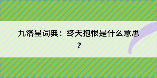 九洛星词典：终天抱恨是什么意思？