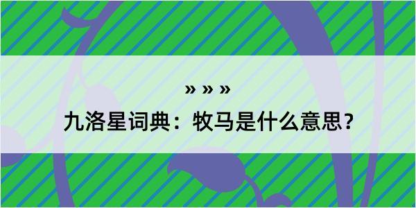 九洛星词典：牧马是什么意思？