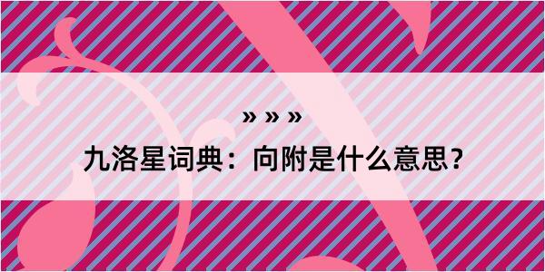 九洛星词典：向附是什么意思？