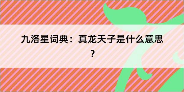 九洛星词典：真龙天子是什么意思？