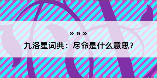 九洛星词典：尽命是什么意思？