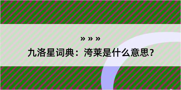 九洛星词典：洿莱是什么意思？