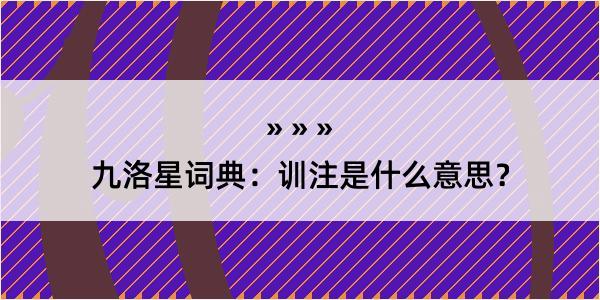 九洛星词典：训注是什么意思？