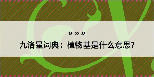 九洛星词典：植物基是什么意思？