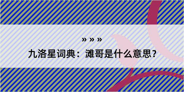 九洛星词典：滩哥是什么意思？