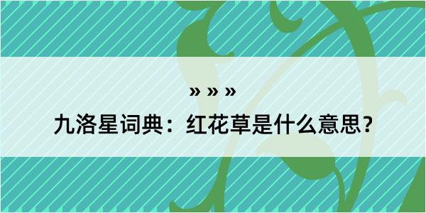 九洛星词典：红花草是什么意思？