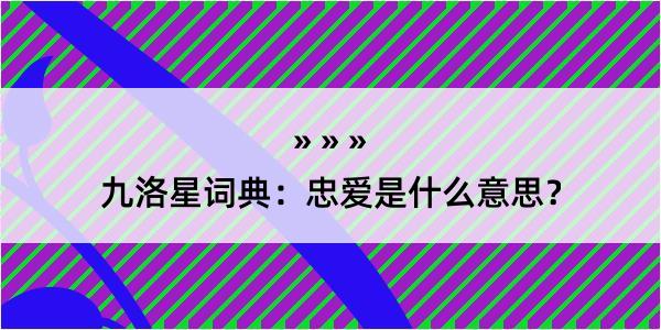 九洛星词典：忠爱是什么意思？