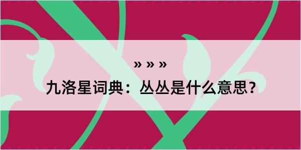 九洛星词典：丛丛是什么意思？