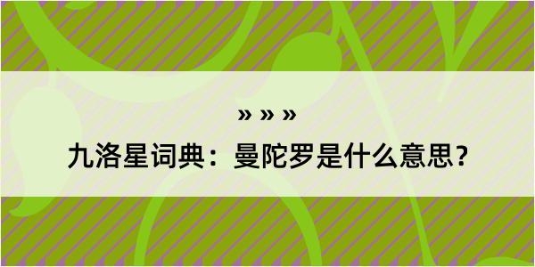 九洛星词典：曼陀罗是什么意思？