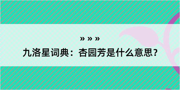 九洛星词典：杏园芳是什么意思？