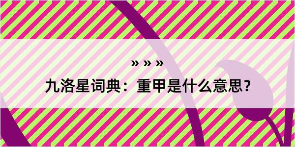 九洛星词典：重甲是什么意思？