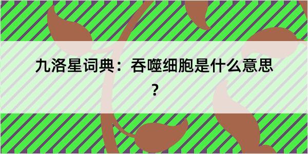 九洛星词典：吞噬细胞是什么意思？