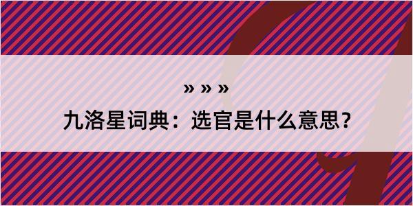 九洛星词典：选官是什么意思？