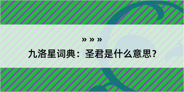 九洛星词典：圣君是什么意思？