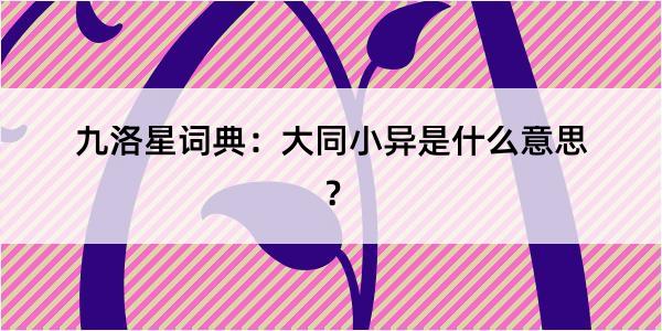 九洛星词典：大同小异是什么意思？