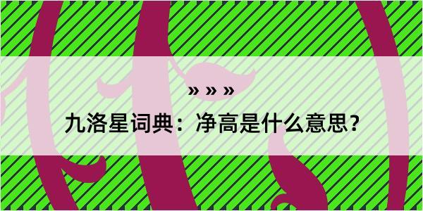 九洛星词典：净高是什么意思？