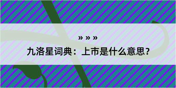 九洛星词典：上市是什么意思？