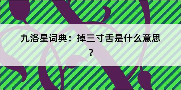 九洛星词典：掉三寸舌是什么意思？