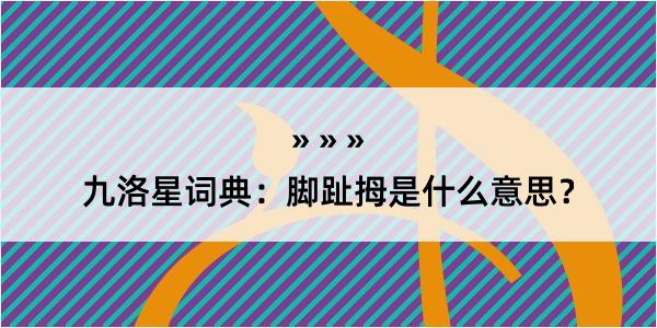 九洛星词典：脚趾拇是什么意思？