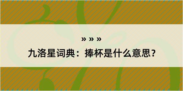 九洛星词典：捧杯是什么意思？