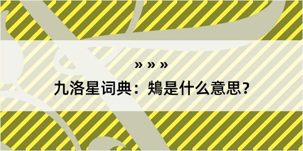 九洛星词典：鴩是什么意思？