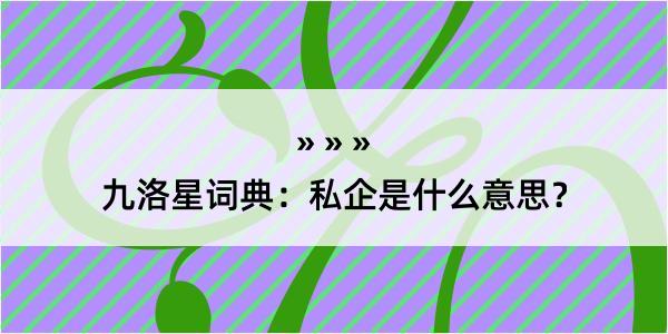 九洛星词典：私企是什么意思？