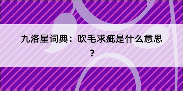 九洛星词典：吹毛求疵是什么意思？