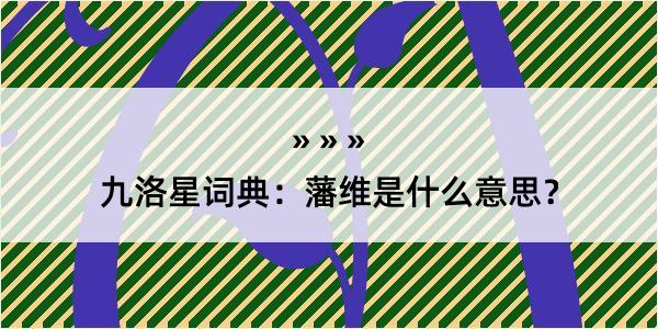 九洛星词典：藩维是什么意思？