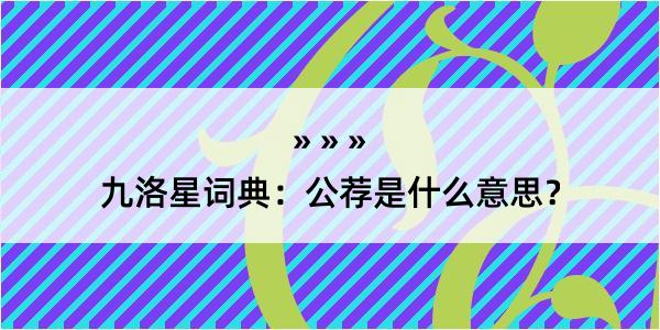 九洛星词典：公荐是什么意思？