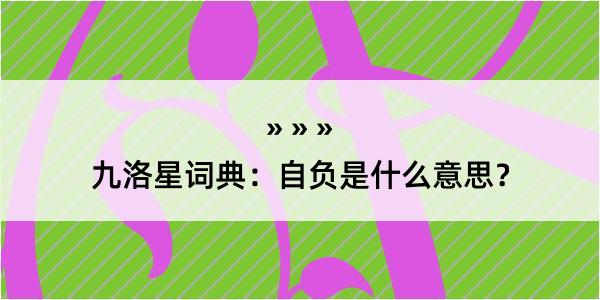 九洛星词典：自负是什么意思？