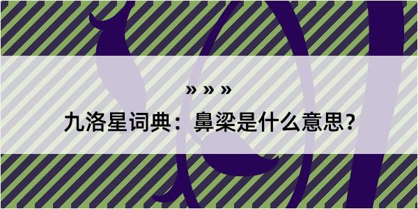 九洛星词典:鼻梁是什么意思?